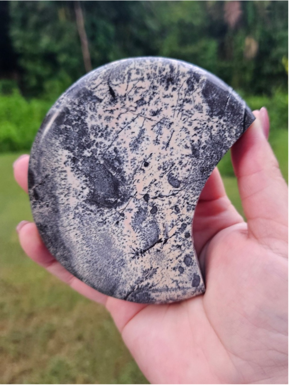 Picture jasper moon 4 in